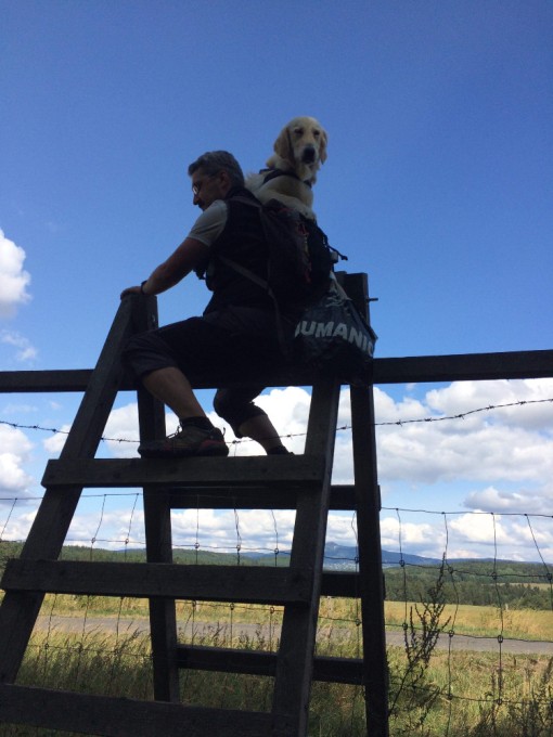 - 19 - Hafani na žebříku.jpg